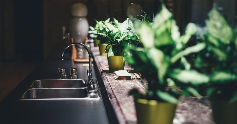 Eau du robinet : ces perturbateurs endocriniens cachés qui inquiètent les scientifiques
